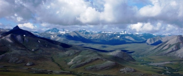 94949d03be18f561fbc81fc53878a0d1